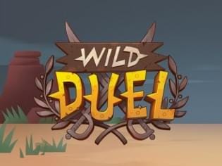 Wild Duel screenshot